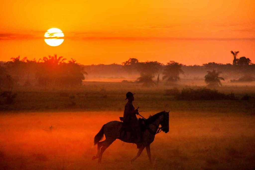 Descubre Los Llanos Orientales: Un Paraiso Natural En El Corazon De Colombia.